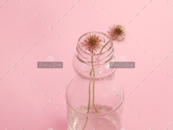 Portfolio4